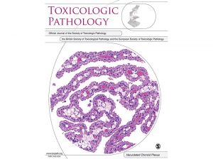 Toxicologic pathology