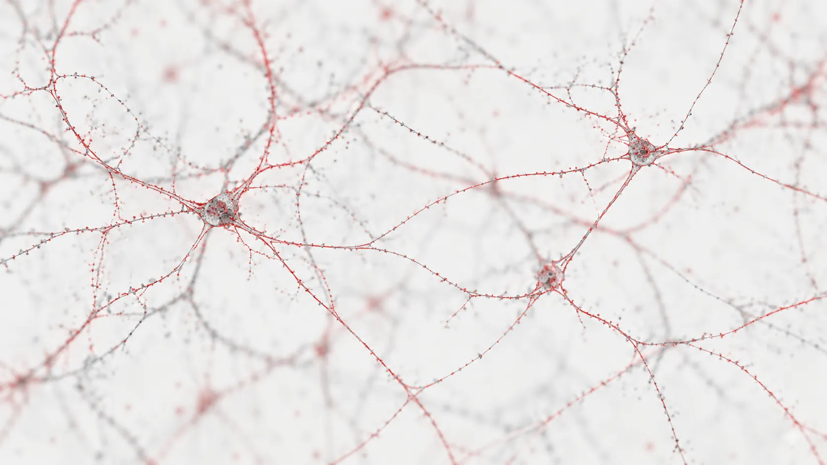 Illustration Of Interconnected Neurons With Fine Red And Grey Branching Processes On A Pale Background.