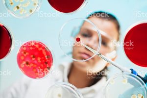 498860012 1 | Apconix