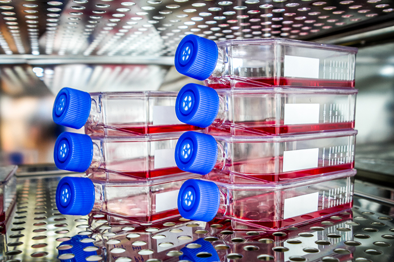 Investigative Toxicology Investigative | ApconiX
