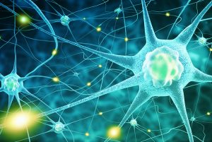 Nerve Cells 1 | Apconix