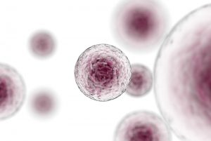 Stem Cells Immunotherapy | Apconix