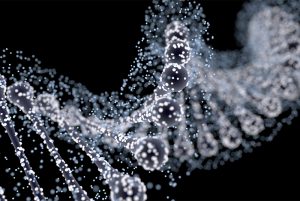 genetic toxicity | ApconiX