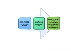 Value of Target Safety Assessments