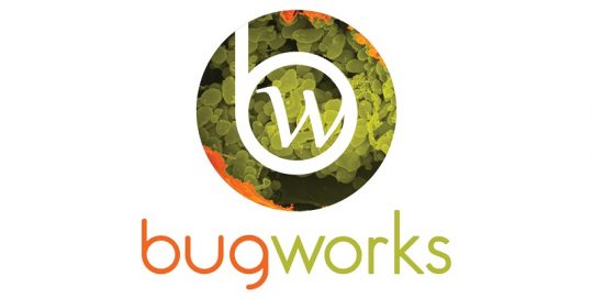 Bugworks logo