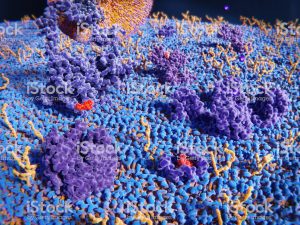 Istockphoto 930083578 2048X2048 | Apconix