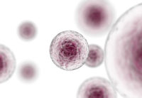 Stem-Cells-Immunotherapy-v1