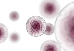 Stem Cells Immunotherapy V1 | Apconix