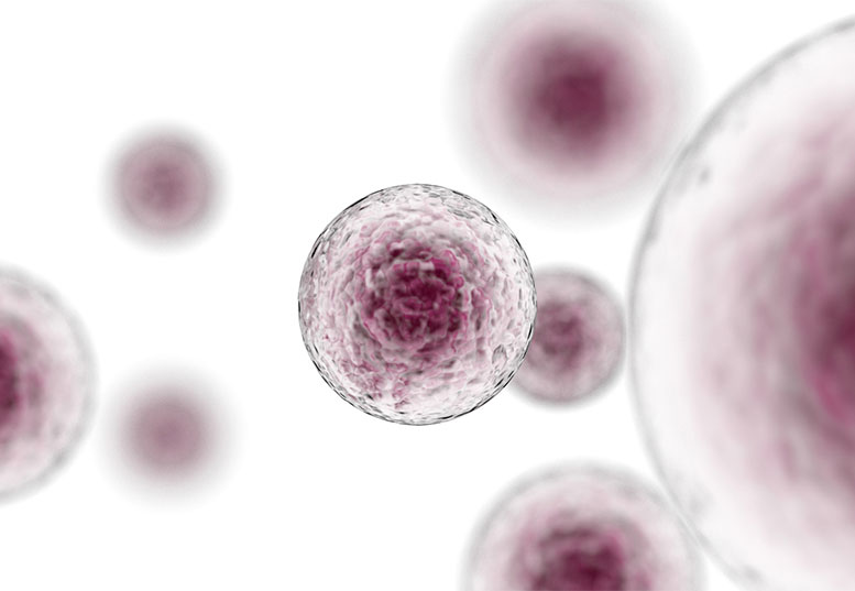 Stem Cells Immunotherapy v1