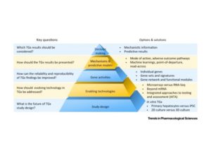 Toxicogenomics: A 2020 Vision