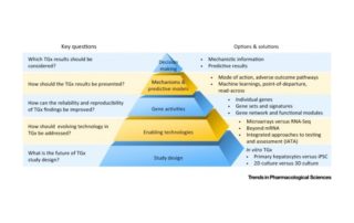 Toxicogenomics: A 2020 Vision