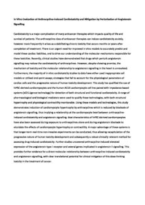 In Vitro Evaluation Of Anthracycline Induced Cardiotoxicity And Mitigation By Perturbation Of Angiotensin Signalling Pdf | Apconix