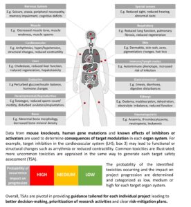 Target Safety Assessments Overview Diagram