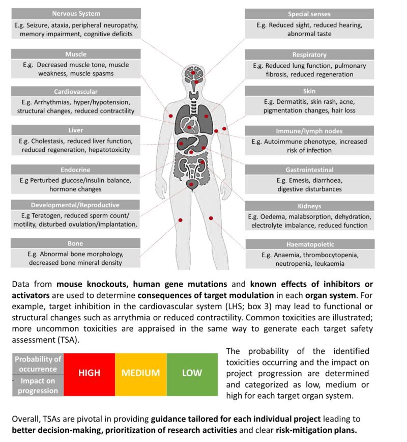 Target Safety Assessments Overview Diagram | ApconiX