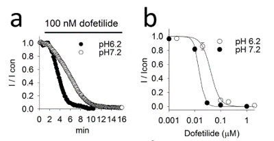 Figure 1: Decreased time to effect of dofetilide at intracellular pH 6.2 versus pH 7.2 (from Wang et al., 2016)