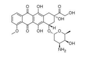 Anthracycline
