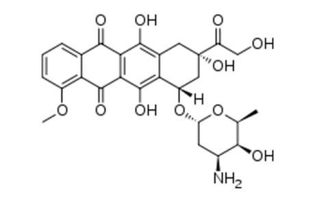 Anthracycline