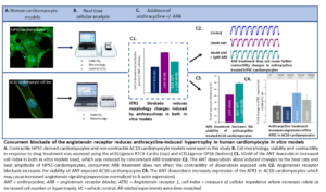 Concurrent blockade of the angiotensin receptor