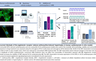 Concurrent blockade of the angiotensin receptor