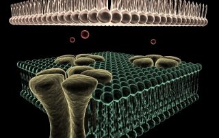 Ion Channels | Webinar | ApconiX