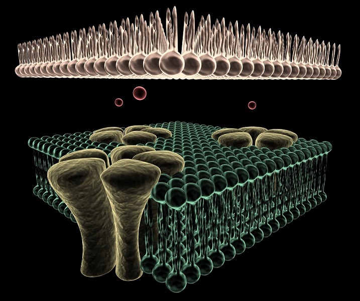 Ion Channels | Webinar | ApconiX