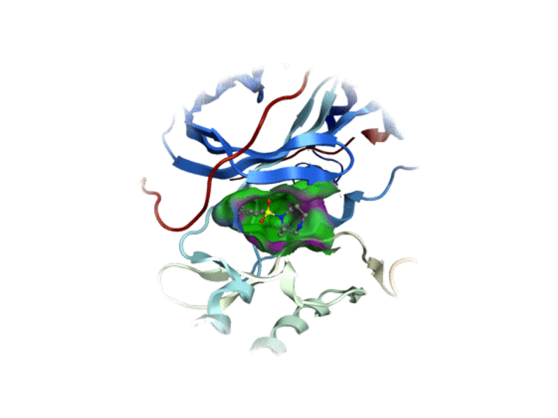 31st Symposium on Medicinal chemistry in Eastern England