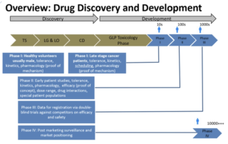 Practical Application of Toxicology in Drug Development