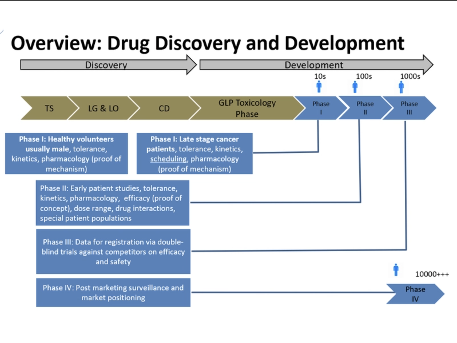 Practical Application of Toxicology in Drug Development