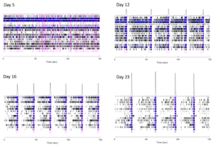 Time Point Box Plot Time-point-raster-plots | ApconiX