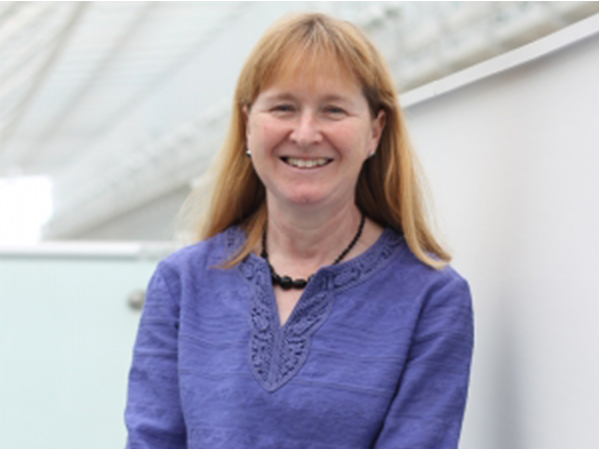 Dr Jane Stewart Dr Jane Stewart