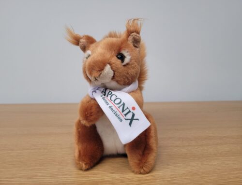 Chestnut’s Photo Diary
