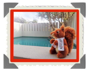 Chestnut By The Pool
