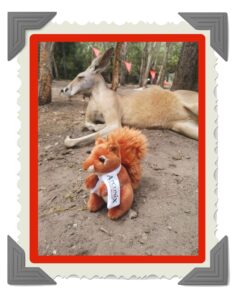 Chestnut making new friends
