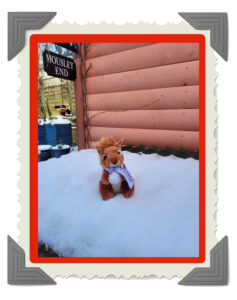 Chestnut's first snowball fight