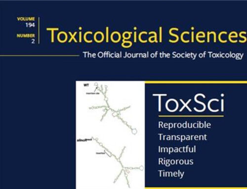 An Integrated Approach for Early In Vitro Seizure Prediction Utilising hiPSC Neurons and Human Ion Channel Assays