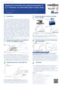 Kv7 Poster With Nanion Pdf | Apconix