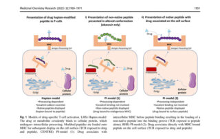 What’s been Hapten-ing over the last 88 years? Figure 1