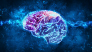 How Does The Fda Modernisation Act 2.0 Impact Seizure Liability Testing In Drug Discovery?