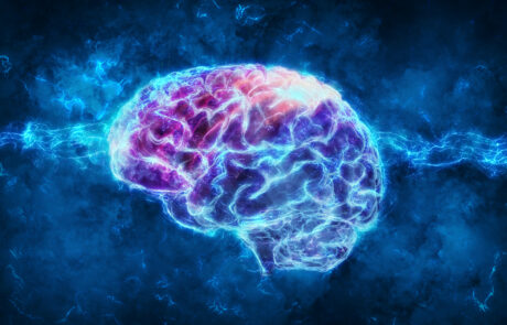 How does the FDA Modernisation Act 2.0 impact seizure liability testing in drug discovery?