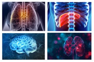 Website Safety Sciences Organs | Apconix
