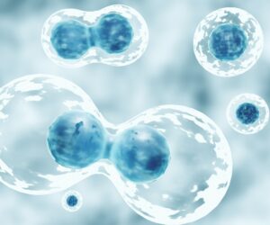 blue cells | ApconiX