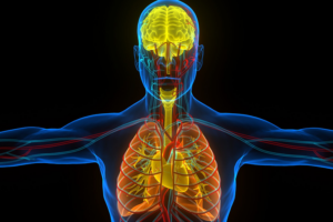 Safety Pharmacology | ApconiX
