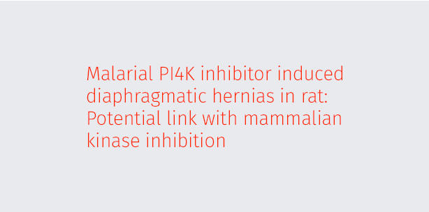 Malarial PI4K inhibitor induced diaphragmatic hernias in rat: Potential link with mammalian kinase inhibition