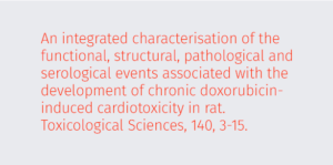 doxorubicin-induced cardiotoxicity