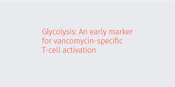 Glycolysis: An early marker for vancomycin-specific T-cell activation
