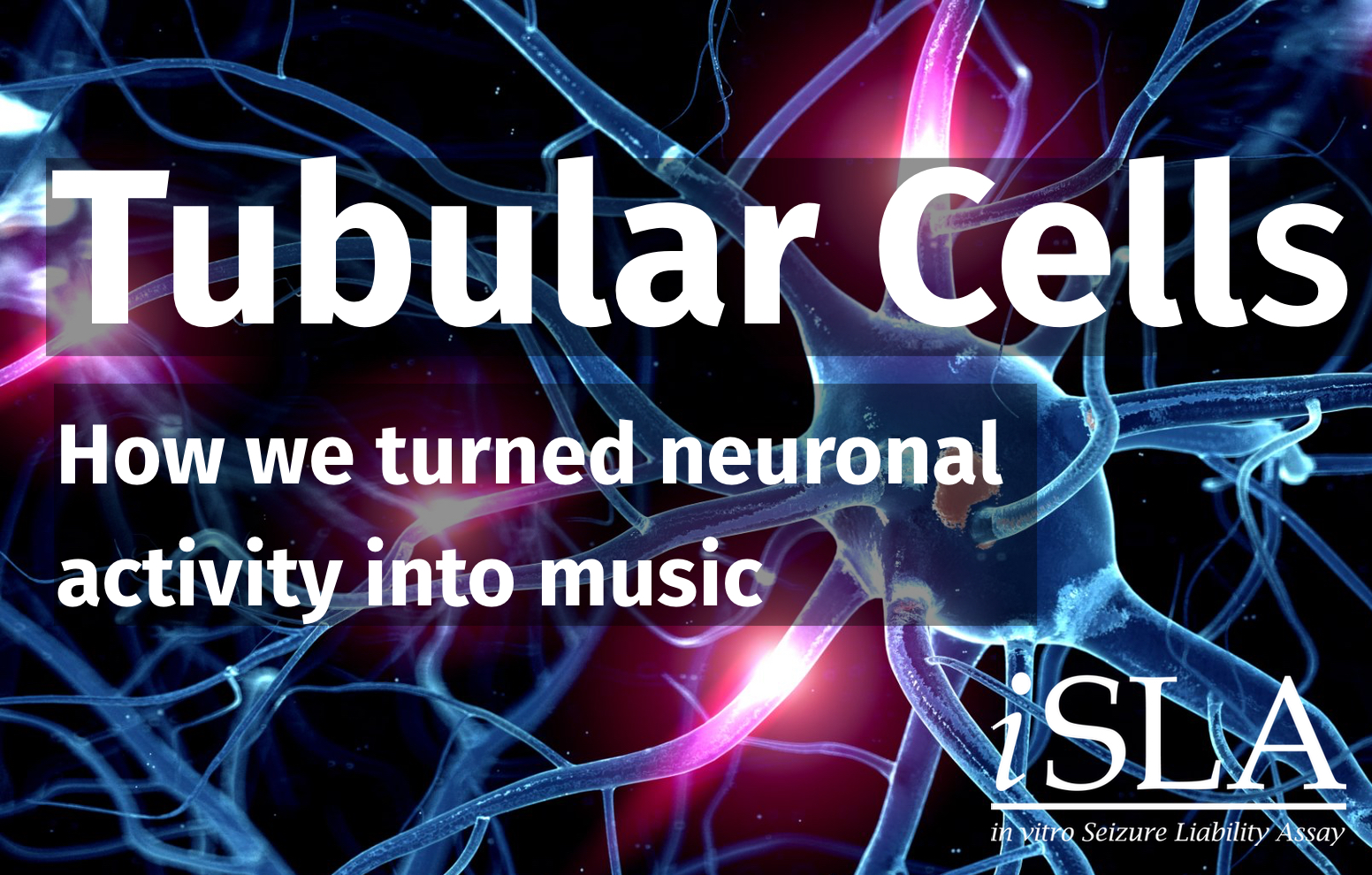 newsletter tubular cells newsletter tubular cells | ApconiX