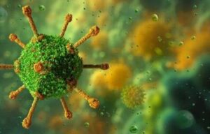 Adeno associated virus 1 | ApconiX