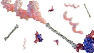 Oligonucleotides
