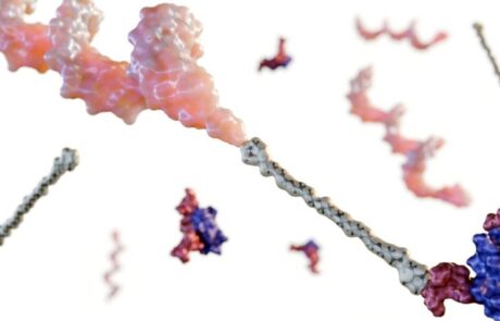 Oligonucleotides