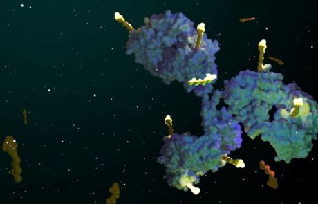 Antibody-drug conjugates (ADCs)